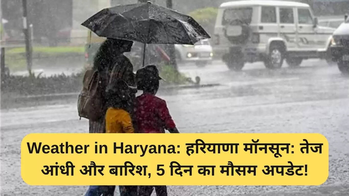 हरियाणा में मॉनसून का आगमन: 5 दिन का मौसम पूर्वानुमान