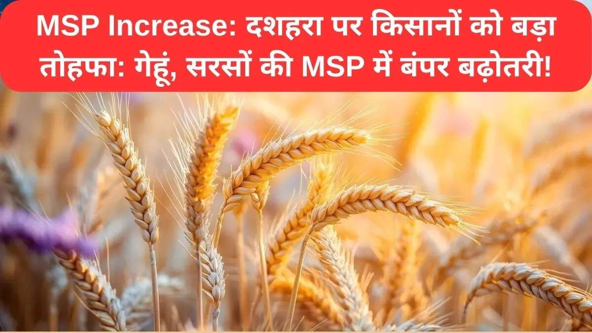 किसानों के लिए MSP में वृद्धि: गेहूं और सरसों की नई दरें