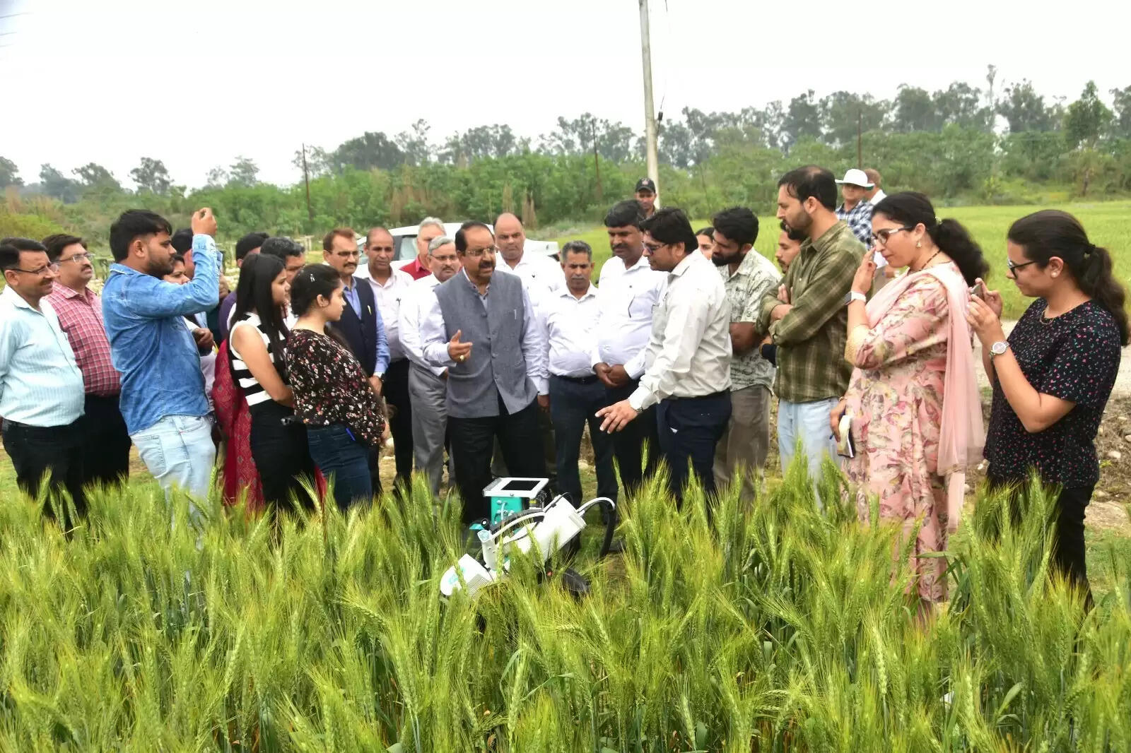 अब उत्तर पश्चिमी प्रदेशों में भी हाेने लगी है जम्मू बासमती की खास किस्मों की पैदावार