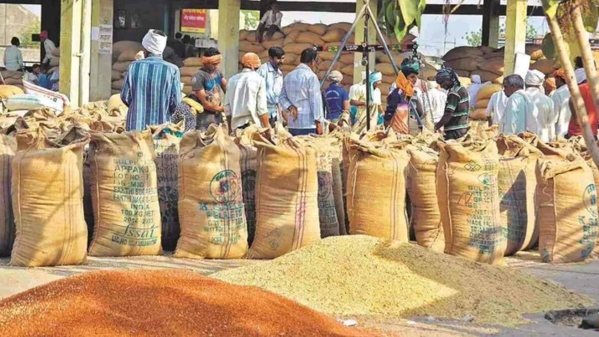 यमुनानगर में धान की खरीद का समापन: किसानों को 1657 करोड़ का भुगतान