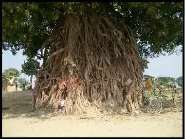 फोड़े-फुंसियों से राहत के लिए आयुर्वेदिक उपाय