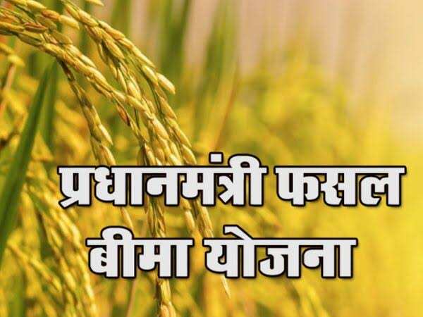 अब 10 अगस्त तक किसान करा सकते हैं फसलों का बीमा