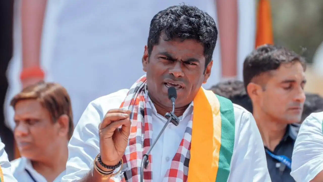 क्या के. अन्नामलाई की नई पार्टी बनने जा रही है? तमिलनाडु की राजनीति में हलचल