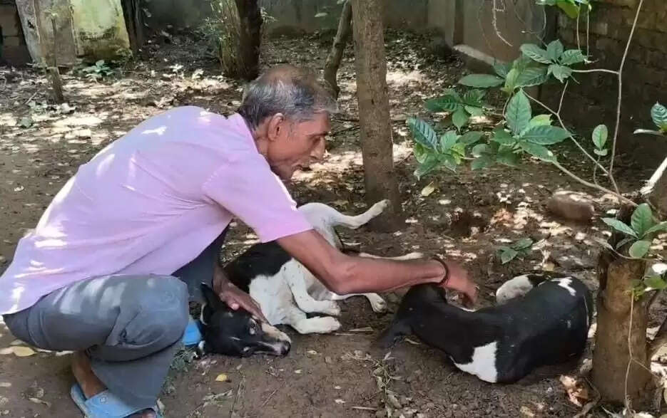 बिहार में भागलपुर के निवासी सौरभ बनर्जी का जीवन आवारा कुत्तों के लिए है समर्पित