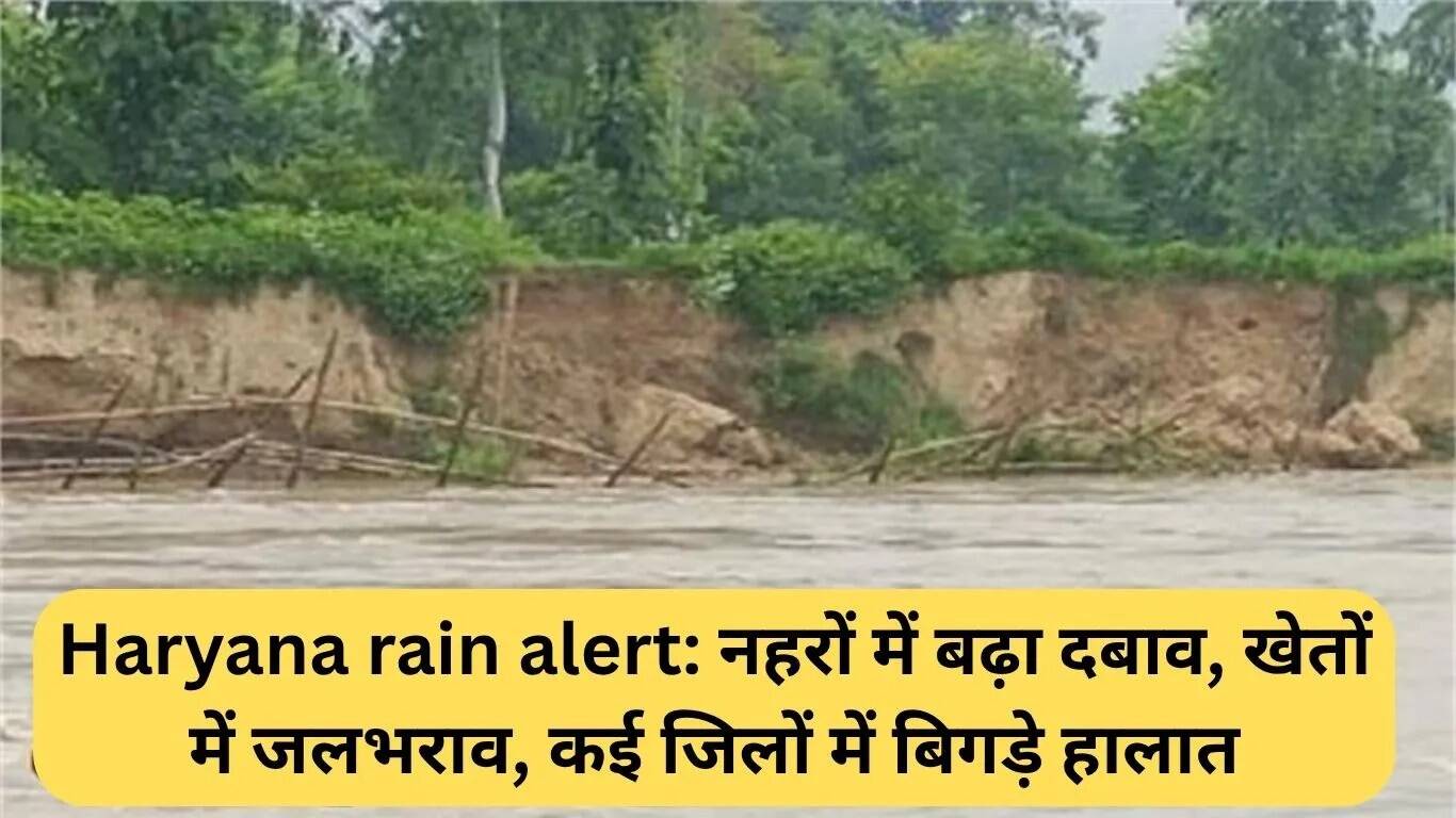 हरियाणा में बारिश का अलर्ट: नहरों में बढ़ा दबाव, कई जिलों में जलभराव