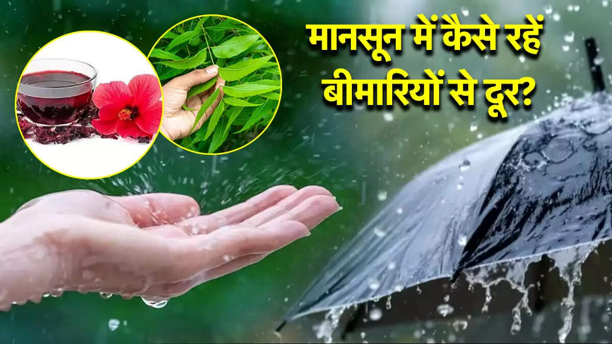 मानसून में इम्यूनिटी बढ़ाने के लिए आयुर्वेदिक उपाय