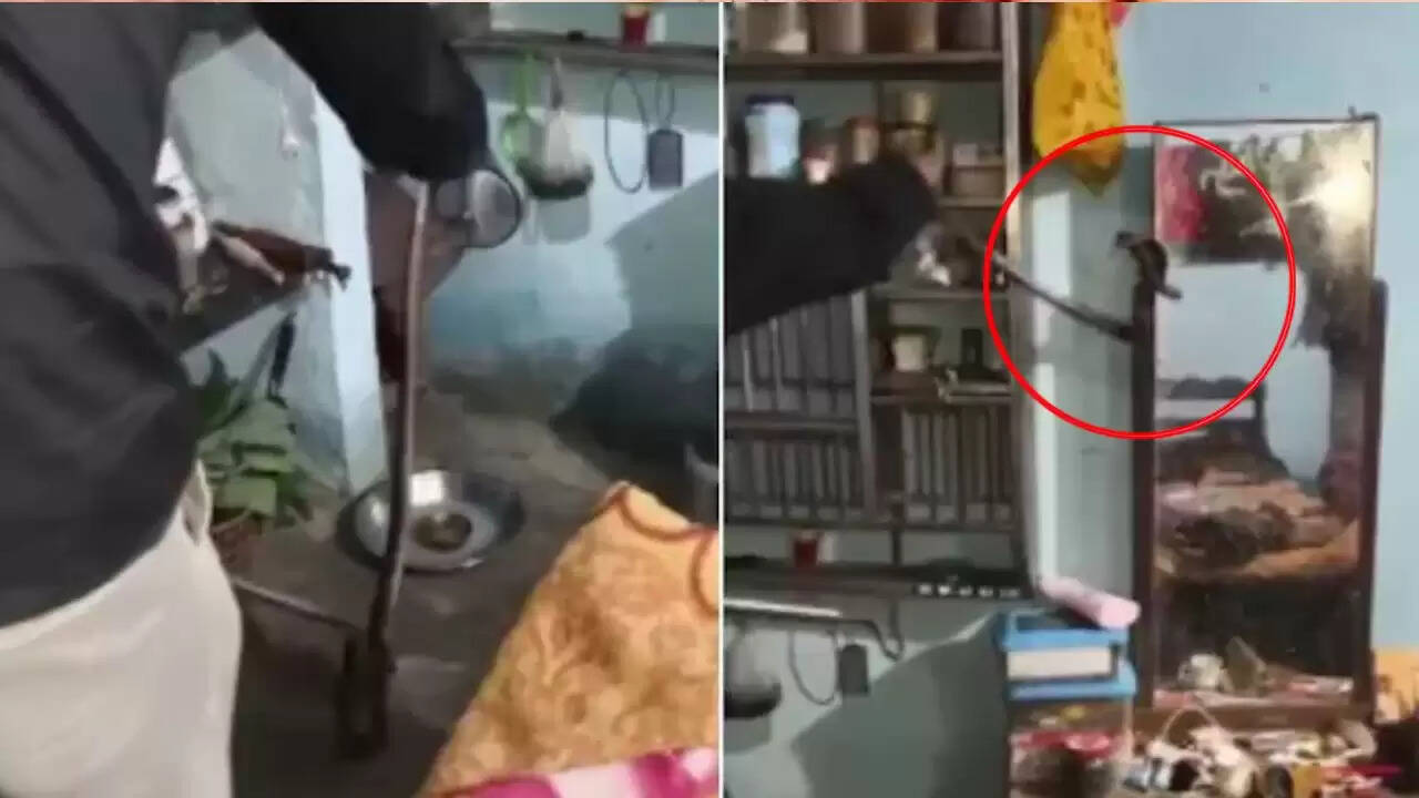 सिवनी में ड्रेसिंग टेबल के पीछे मिला 4 फुट लंबा कोबरा