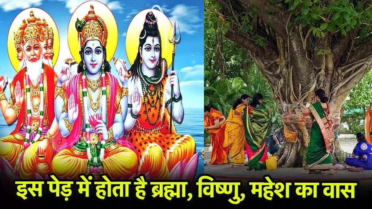 सावन 2025 में बरगद की पूजा के लाभ और उपाय