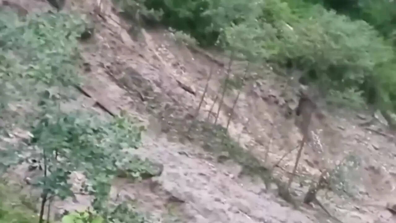 उत्तराखंड में बादल फटने से लापता श्रमिकों की खोज जारी