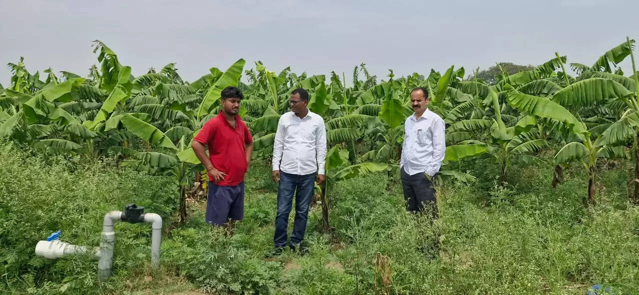 अमेठी के किसान ने केला उत्पादन और इंटरक्रॉपिंग से कमाए 10.60 लाख रुपये