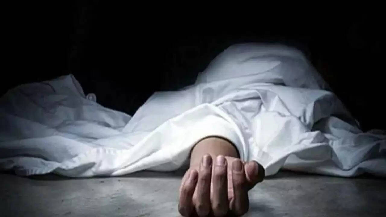 छत्तीसगढ़ में तेज रफ्तार कार पलटी, एक की मौत और दो घायल