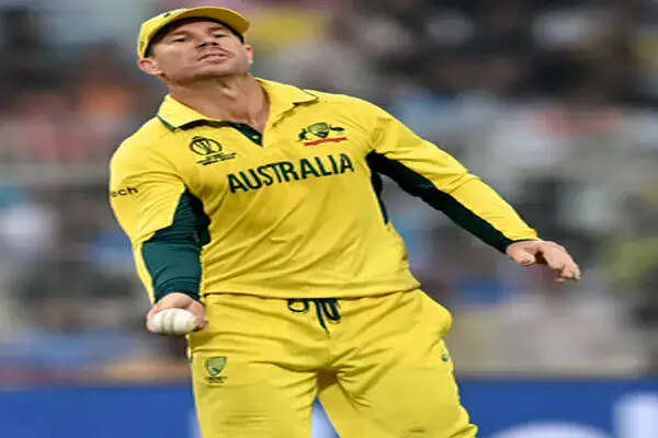 डेविड वार्नर ने ड्रिंक-ड्राइविंग मामले में अपनी गलती स्वीकार की