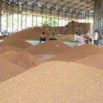 हरियाणा में किसानों के लिए QR गेट पास ऐप का शुभारंभ