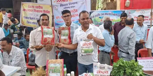 लैलूंगा की पहचान बना ‘केलो’ जैविक जंवाफूल चावल , बेंगलुरु से कारगिल तक पहुंच रहा सुगंध