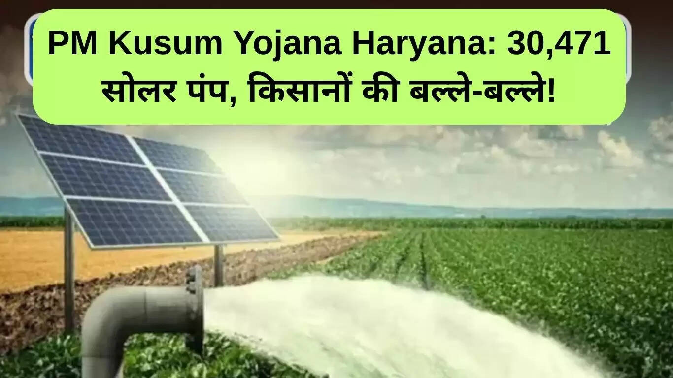 हरियाणा में पीएम कुसुम योजना के तहत 30,471 सोलर पंपों का वितरण