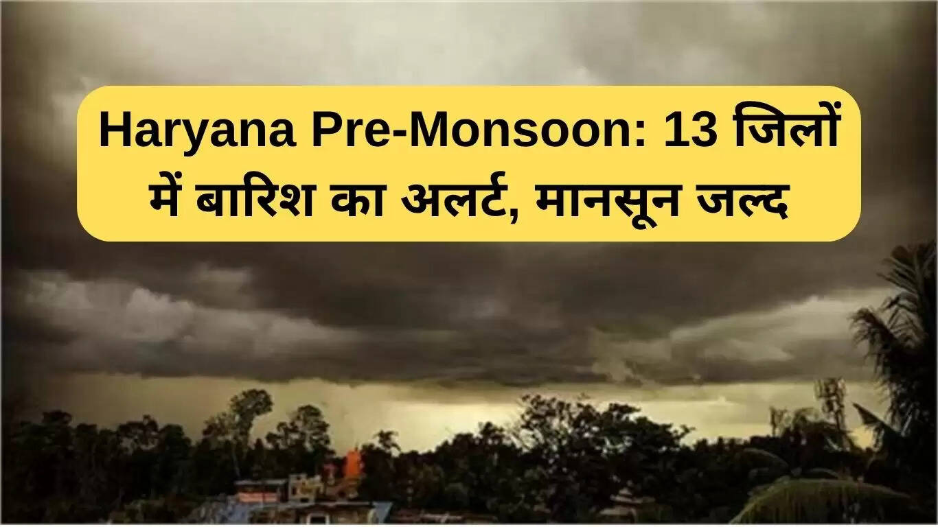 हरियाणा में प्री-मानसून बारिश का अलर्ट, 13 जिलों में होगी झमाझम बारिश