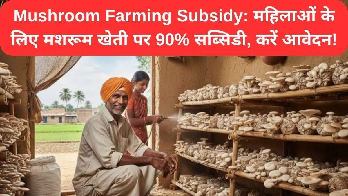 बिहार में मशरूम खेती के लिए किसानों को मिलेगी भारी सब्सिडी