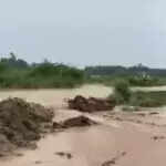 अंबाला में टांगरी नदी का जलस्तर बढ़ा, रिहायशी क्षेत्रों में पानी घुसा