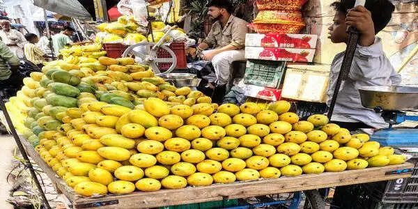 'कैल्शियम कार्बाइड' से पके आम लोगों की बिगाड़ रहे सेहत, घातक बीमारी की चपेट में आने का बढ़ा रहे खतरा
