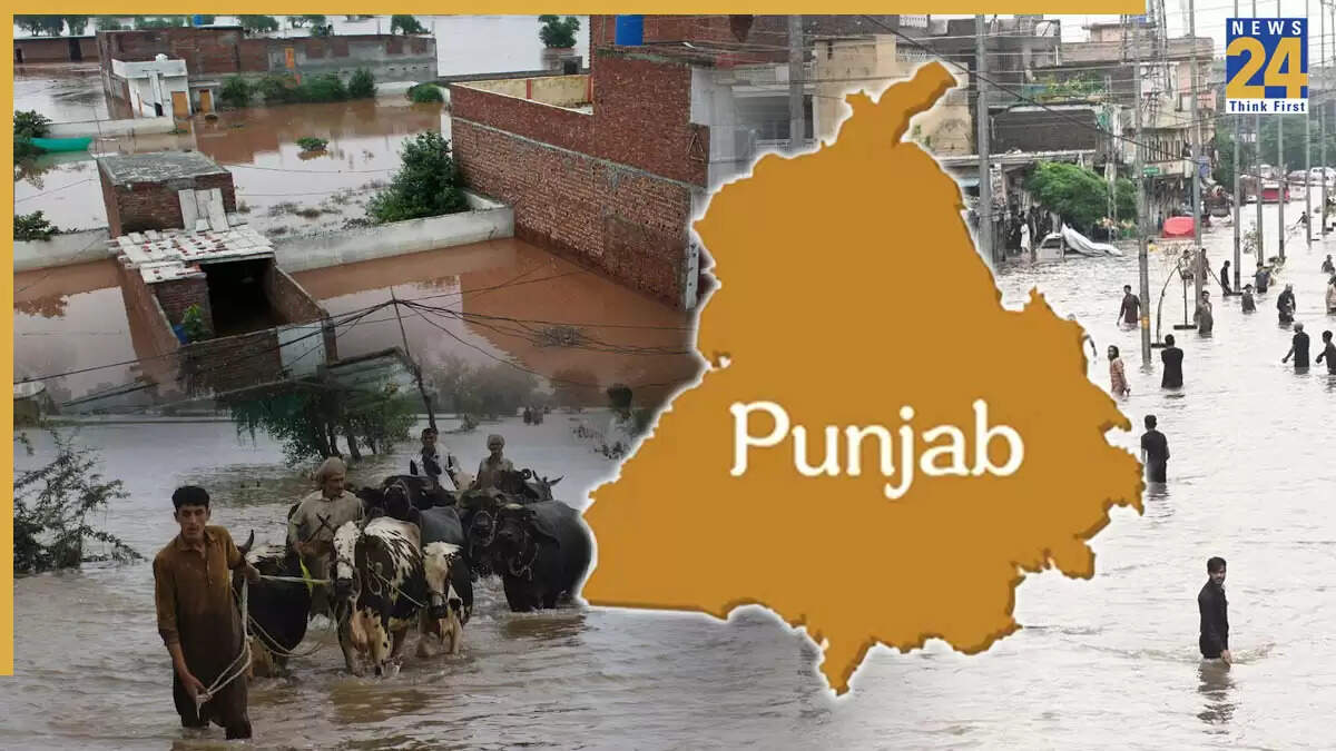 पंजाब में बाढ़ का कहर: 30 लोगों की जान गई, सभी जिलों को आपदा घोषित