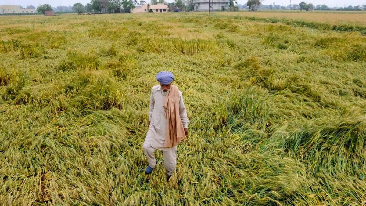 किसानों को मुआवजे में देरी से बढ़ी चिंता, आग लगाने के मामले भी दर्ज