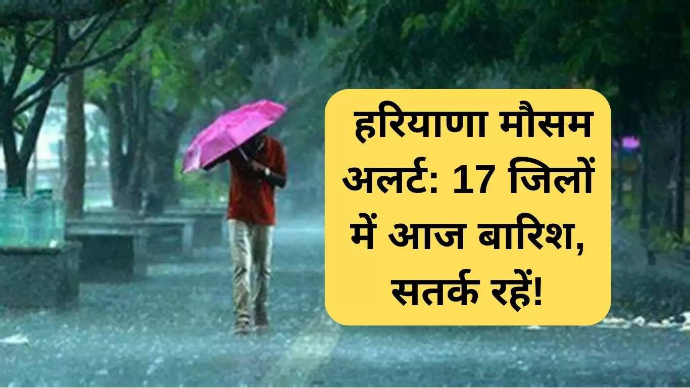 हरियाणा में बारिश का अलर्ट: 17 जिलों में आज बारिश की संभावना