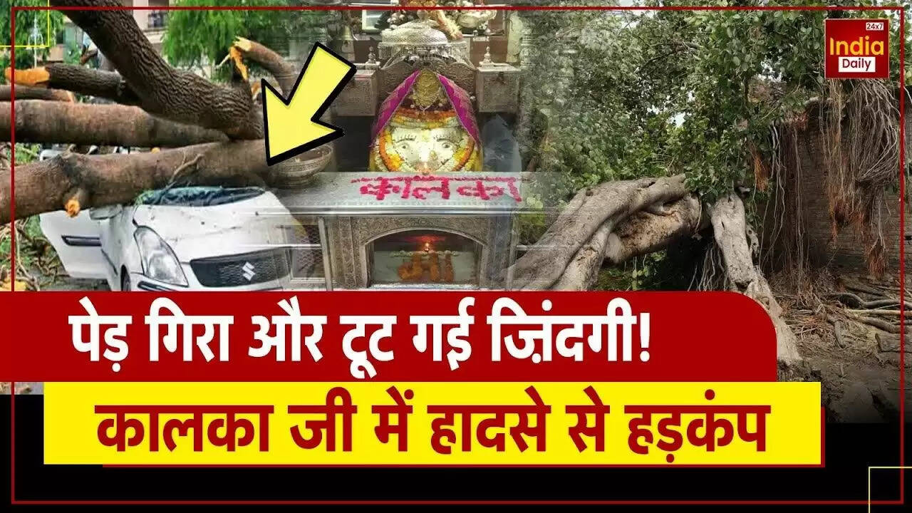 दिल्ली में भारी बारिश के दौरान नीम का पेड़ गिरने से एक व्यक्ति की मौत
