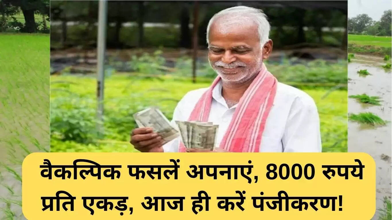 हरियाणा की नई योजना: वैकल्पिक फसलों के लिए 8000 रुपये प्रति एकड़ प्रोत्साहन