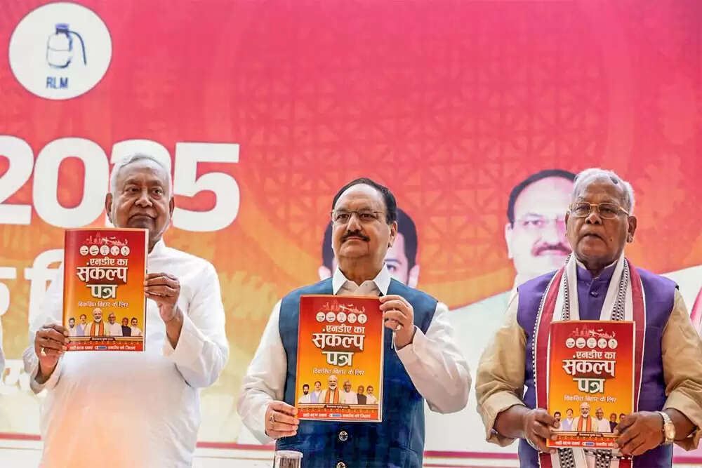 बिहार विधानसभा चुनाव: एनडीए और महागठबंधन के घोषणापत्रों की तुलना