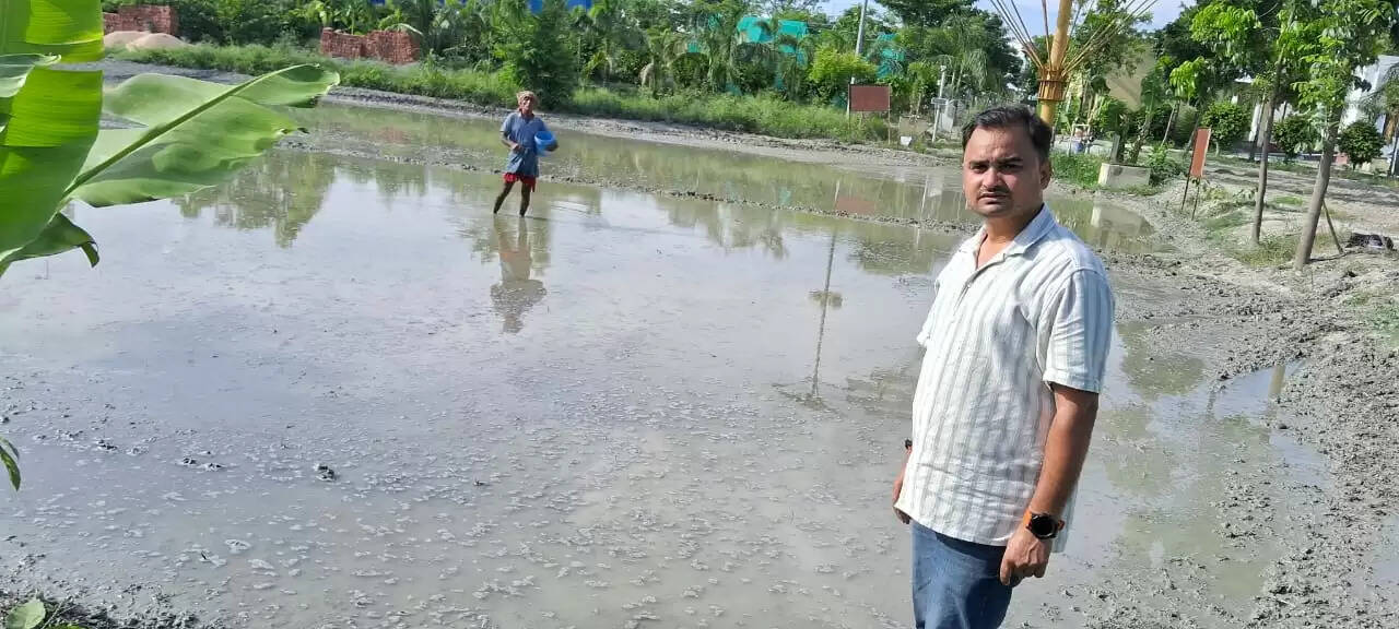 धान की फसल को खैरा रोग से बचाने के लिए करें जिंक का प्रयोग :डाॅ आशीष राय