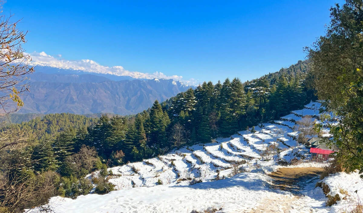 काणाताल: उत्तराखंड की शांतिपूर्ण यात्रा स्थल