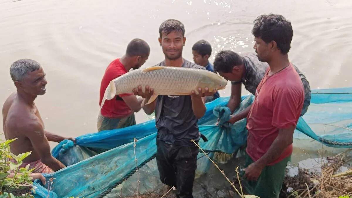 हरियाणा में मत्स्य पालन को बढ़ावा देने की नई योजना