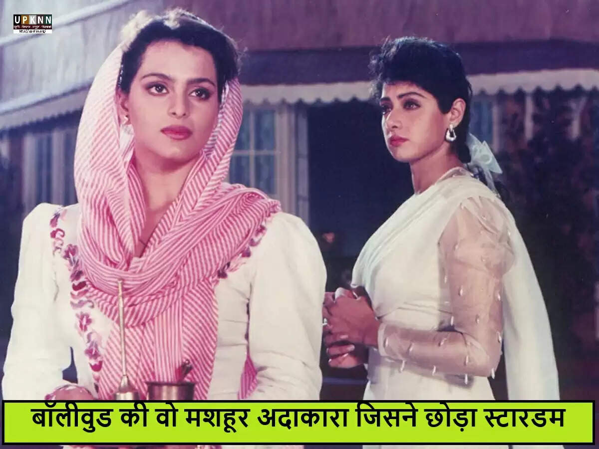 मीनाक्षी शेषाद्रि: बॉलीवुड की चमक छोड़कर साधारण जीवन की ओर