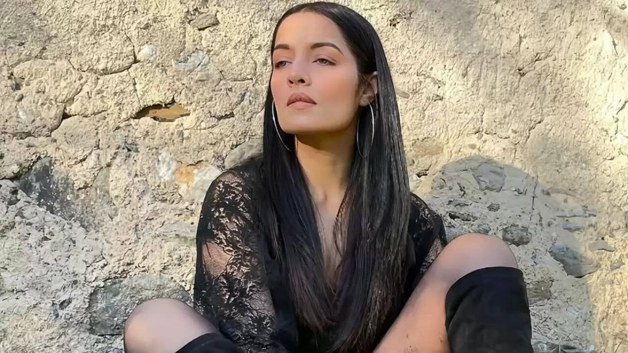सेलिना जेटली की फिल्मी दुनिया में वापसी की तैयारी