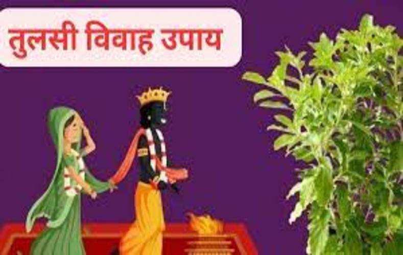 Tulsi Vivah 2023: तुलसी विवाह के दिन ये उपाय करने से वैवाहिक जीवन की समस्याएं होती हैं खत्म