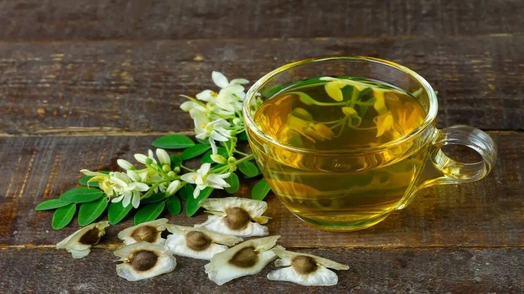सहजन के पत्तों से बनाएं ये 5 स्वादिष्ट व्यंजन