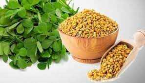 Fenugreek Seeds Benefits: सेहत के लिए बहुत फायदेमंद है मेथी दाना, जानिए इसके 5 फायदे