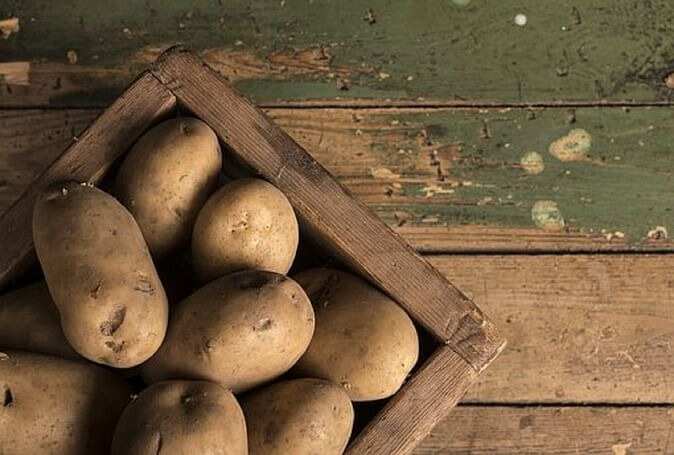 आलू के जादुई पकवान: सर्दी में घरवालों को खिलाएं ये स्वादिष्ट व्यंजन