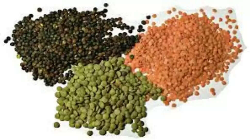 दाल हमारे आहार में जरूरी है, क्योंकि ये प्रोटीन से भरपूर होती हैं। पूरे दिन काम करने के लिए हमें दाल से एनर्जी मिलती है, लेकिन रोज दाल खाने के बाद भी आप बोरियत महसूस करते हैं।