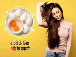 क्या आप जानते हैं सर्दियों में अंडे खाने के फायदे? बाल झड़ने से रोकता है, हड्डियों को बनाता है मजबूत, जानें और भी